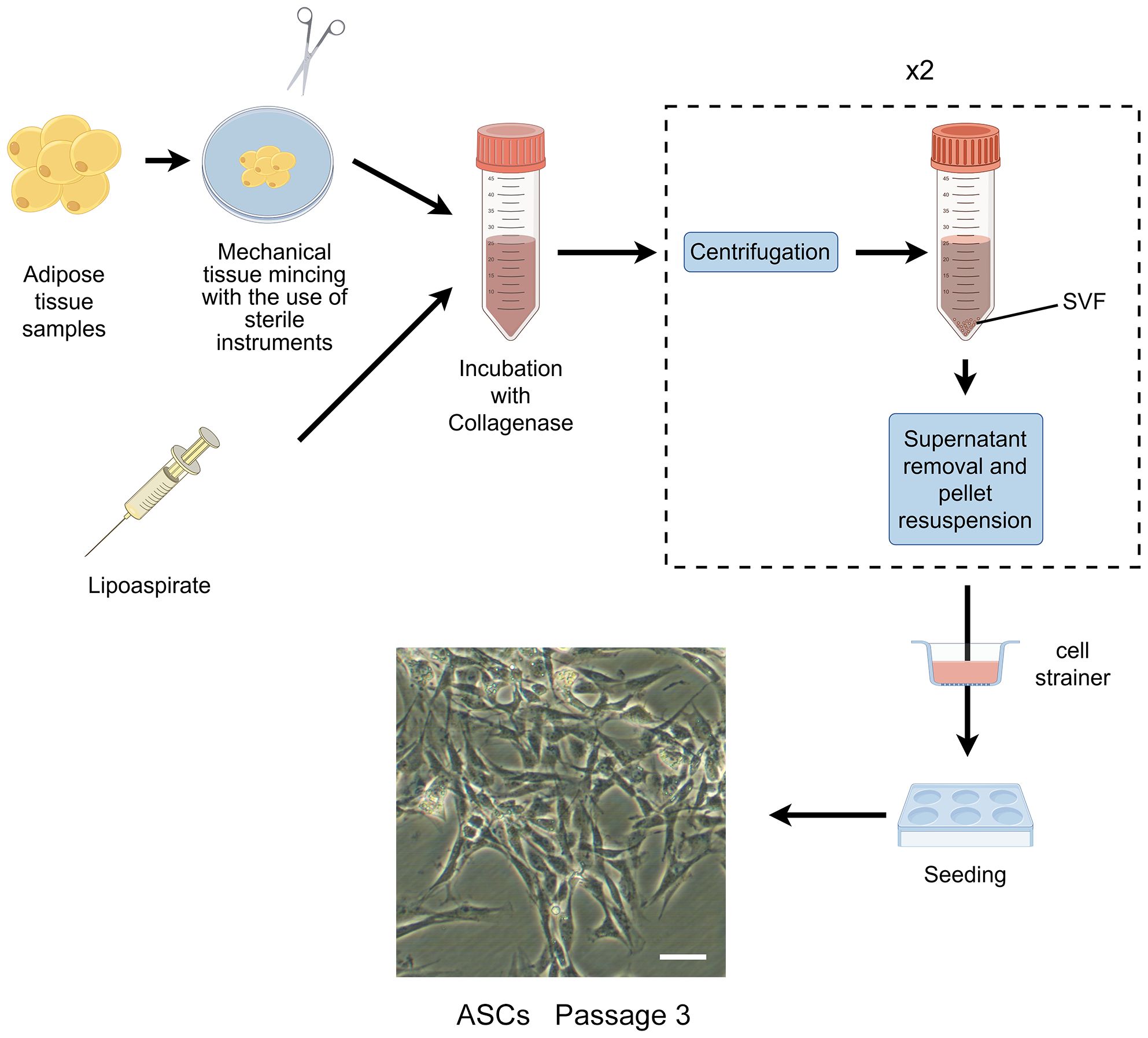 Revolutionary Charge-Switching Polymer May Result in Creation of Needle-Free Insulin Gel