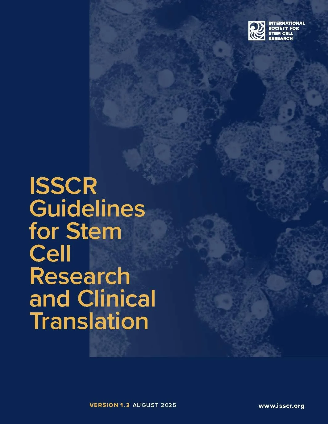 Stem Cell Treatment: Achieved Possibilities and Accomplishments