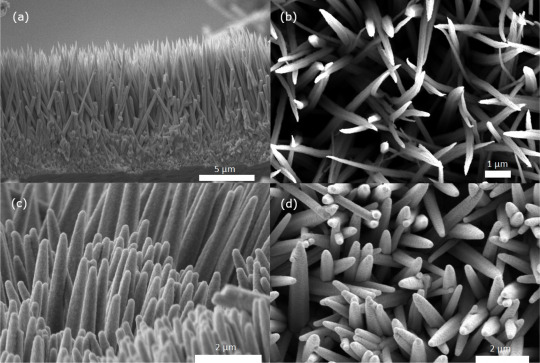 Ultrablack Nanoneedles Improve Solar Towers for 99.5% Energy Capture