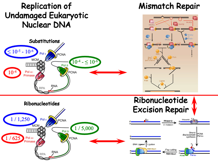 Chemists Obtain Major Advancement in Regulating Molecular Forms Following Years of Study