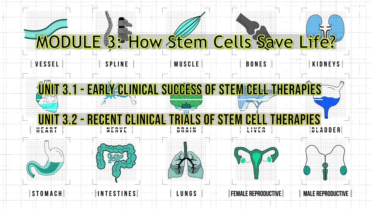 Fulfilling the Commitment of Stem Cell Therapy