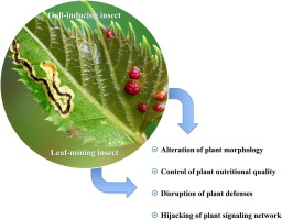 Fungus Counteracts Chemical Defense Strategies Adopted by Bark Beetles