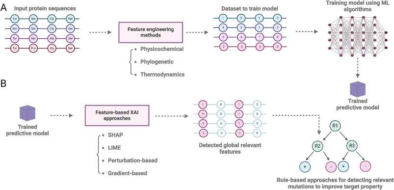 Model Developments in Protein Design Result in Enzymes Almost Equally Efficient as Natural Variants