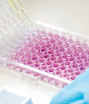 The Accomplishments and Discoveries of Stem Cell Treatment