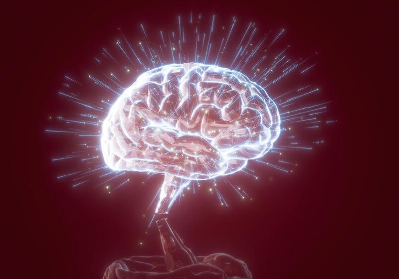 A Cutting-Edge Tool for Exploring the Brain's Deepest Enigmas