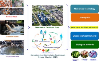 Antibiotic Residues in Coastal Filters Hasten Greenhouse Gas Emissions