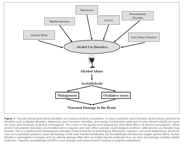 Cannabidiol Restores Brain and Gut Integrity Impaired by Prenatal Alcohol Exposure in Mice
