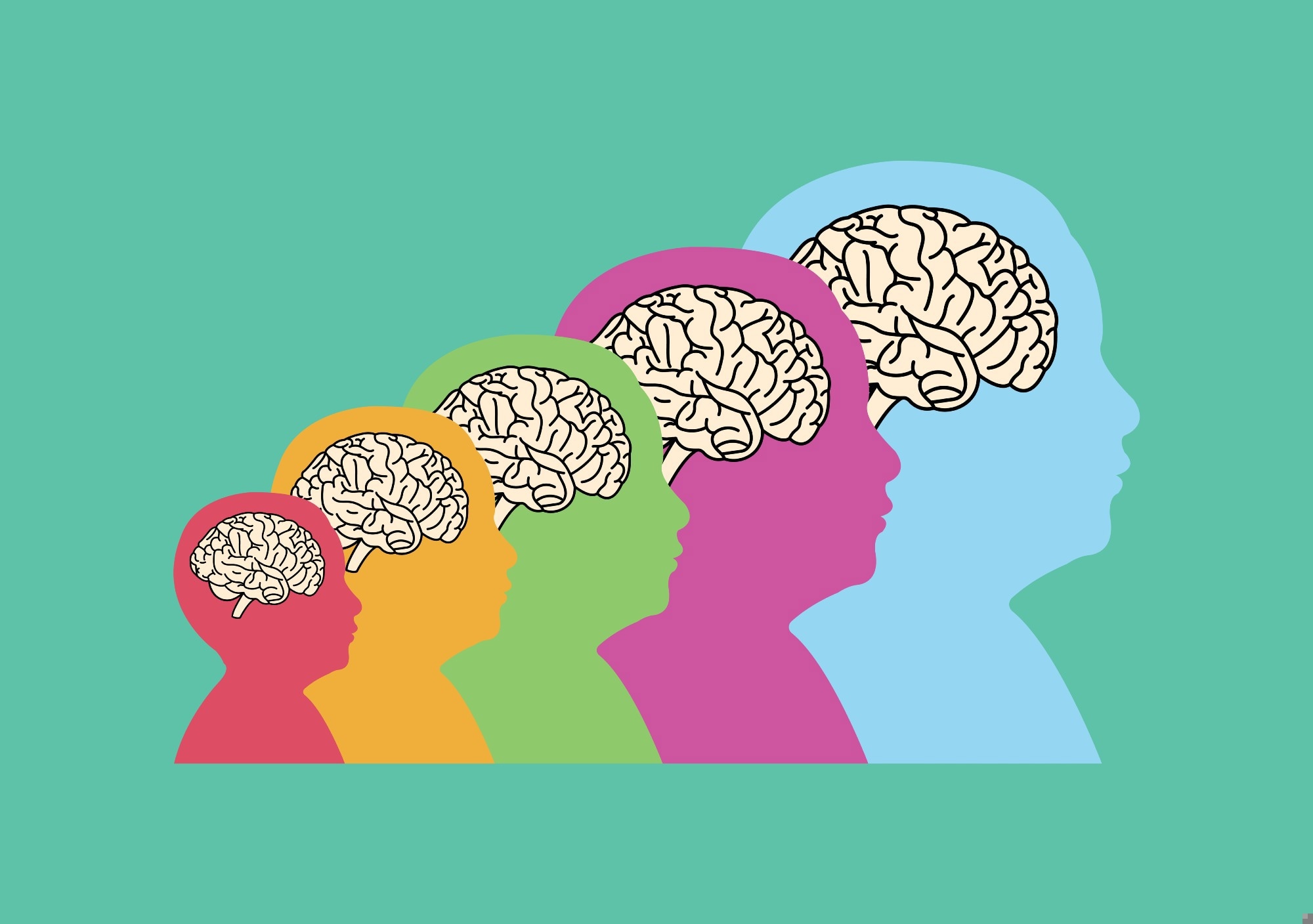 How Maternal Stress Influences Fetal Brain Development Differently in Males and Females