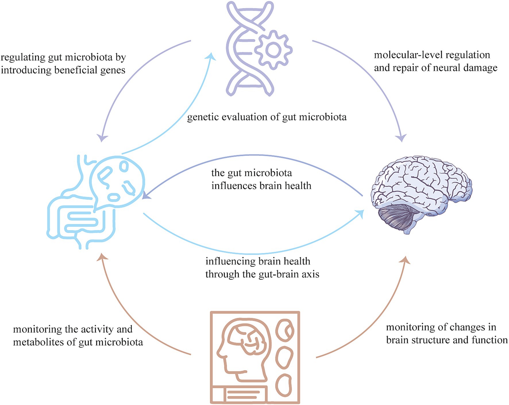 Hydrogen Sulfide in the Brain: An Innovative Approach to Curb Memory Decline