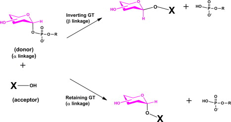 Hyperconjugation Inadequate to Completely Justify Anomeric Effect