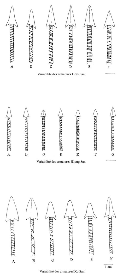 Prehistoric Humans Utilized Poison-Tipped Arrows for Hunting Far Earlier Than Previously Thought