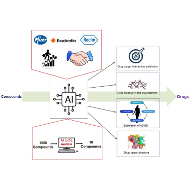 Researchers Discover Neural Pathway That Inhibits Start of Difficult Activities