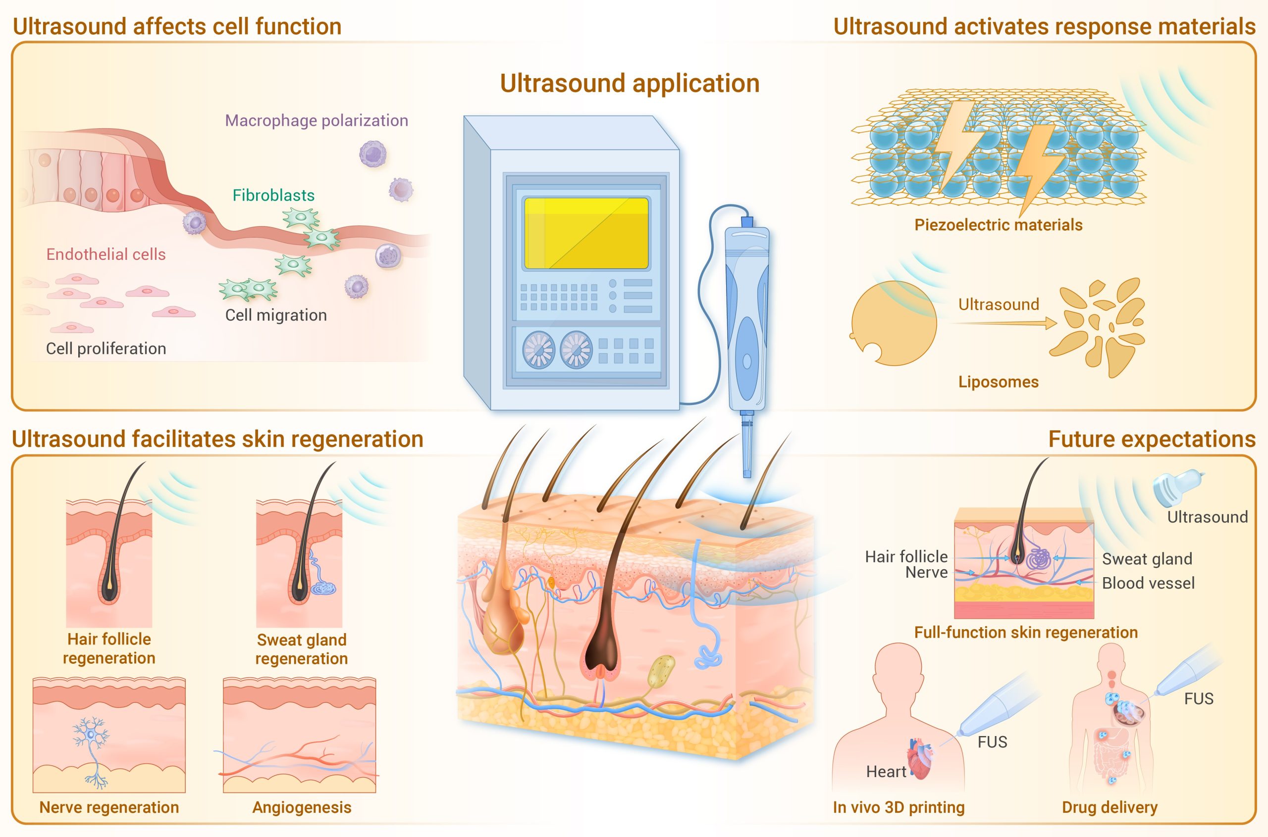 Skin-Derived Injectable Gel Could Simplify Breast Reconstruction Methods