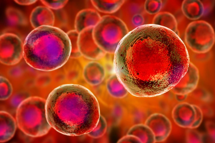 The Accomplishments and Truths of Stem Cell Treatment