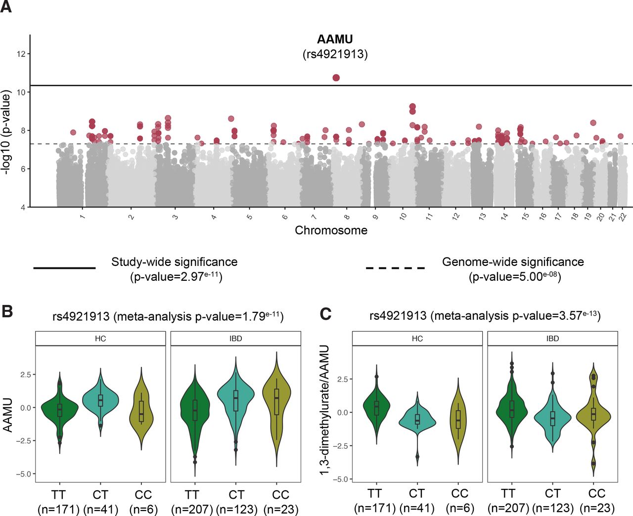 The Essential Metabolite Influencing the Result of Inflammation: Restoration or Damage