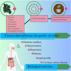 "Uncovering Scientific Knowledge from Coffee Cup Marks"