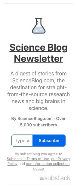 Baby Chicks Link the Sound "Bouba" to Rounded Forms and "Kiki" to Sharp Forms