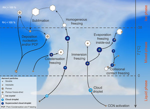 Forest Spores Aiding in the Formation of Arctic Clouds
