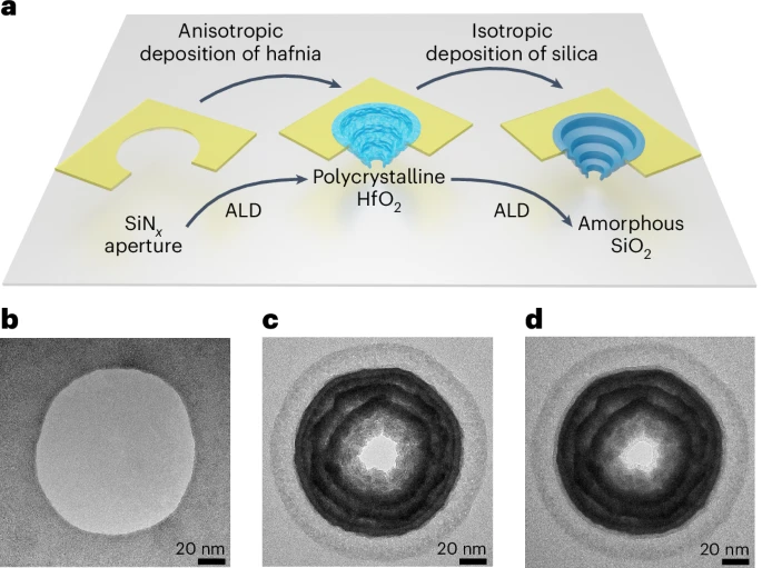 Revealing the Ocean's Concealed Energy Source via Cell Membrane Technology