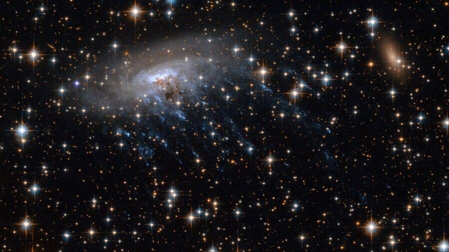 The Most Distant Detected Jellyfish Galaxy is Transforming Our Perception of Cosmic Demise