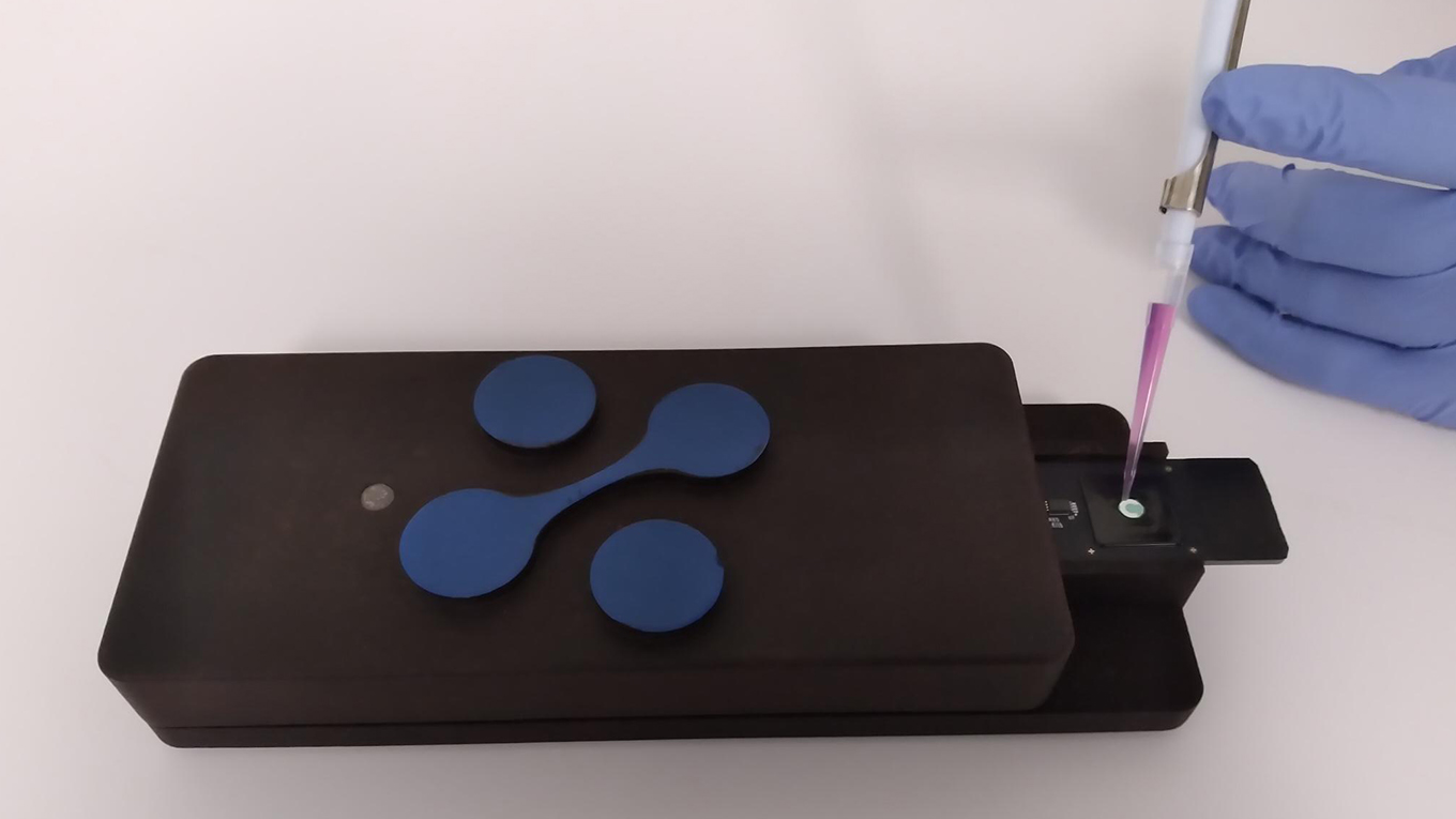 CRISPR: An Innovative Instrument in Genetic Modification Technology