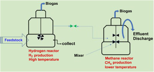 The Citric Acid Cycle: A Metabolic Energy Dynamo and Waste Regulator