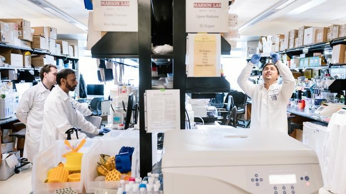 Proteins Found in Blood Recognized as Possible HIV Blockers