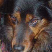 The Influence of Christianity on the Progress of Scientific Ideas