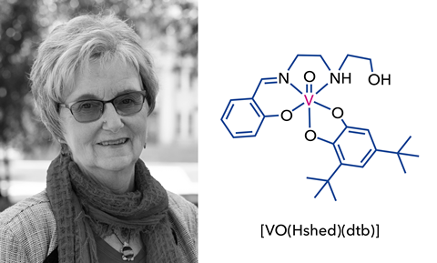 The Promise of Vanadium in Healthcare and the Dedicated Researchers Championing Its Application