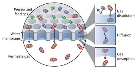 Water-derived Membrane Selectively Screens Carbon Dioxide, Prevents Other Gases