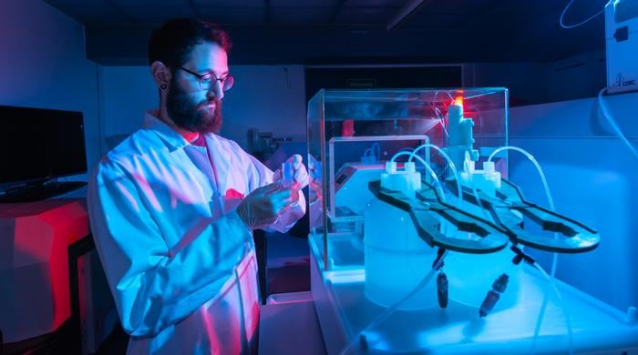 Ancient Rainforest Foragers Ate a Greater Diversity of Plants Than Previously Understood