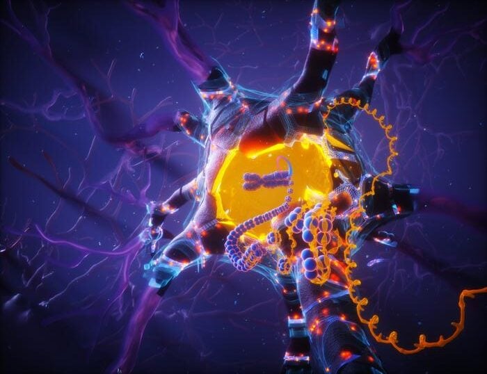 APOE2 Preserves Neuronal Vitality through the Restoration of DNA Integrity