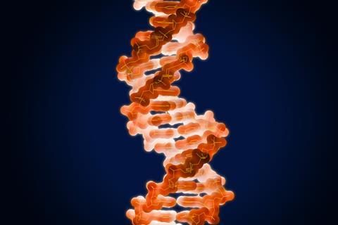 Bacterium with Minimized Genome Capabilities Utilizing One Fewer Amino Acid Compared to Typical Organisms