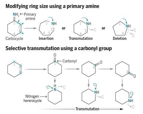 Cutting-Edge Skeletal Editing Methods Convert Nitrogen Compounds into Drug Intermediates