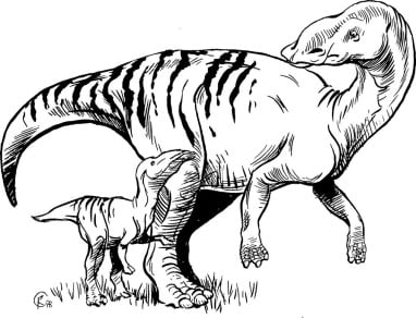 Fossilized Teeth Indicate Infant Dinosaurs Consumed More Nutrient-Rich Diets Than Their Adult Counterparts