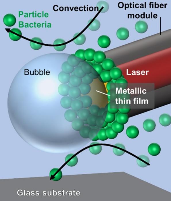 Light Method Records Thousands of Bacteria in Less Than a Minute
