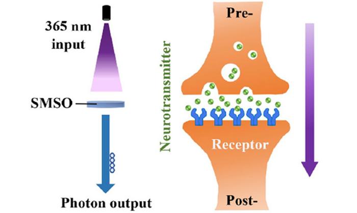 Luminescent Substance Imitates Brain's Blending of Memory and Sight