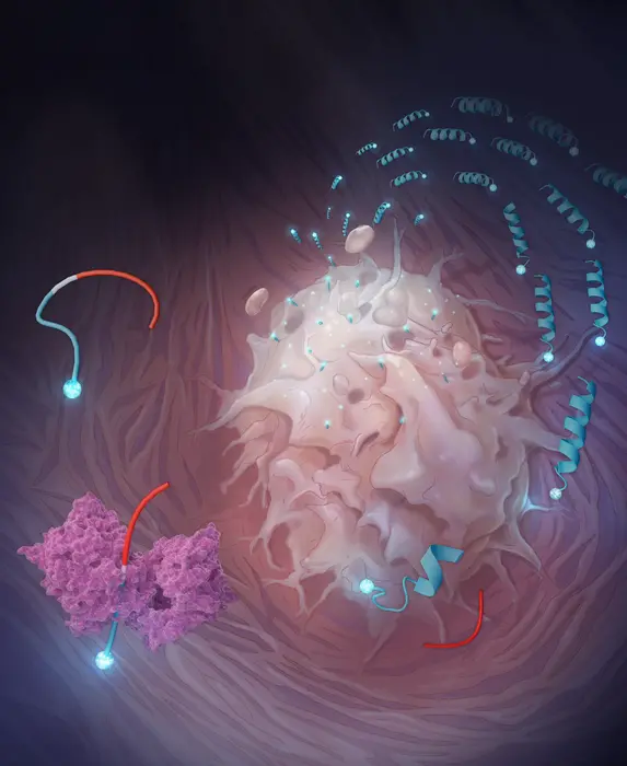 Molecular Grappling Hook Method Improves Retention of Cancer Medications Within Tumors