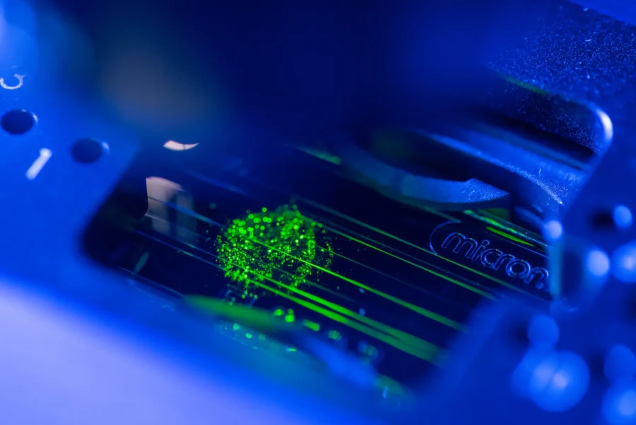 Novel Method Examines Living Cell's Genes Without Invasion