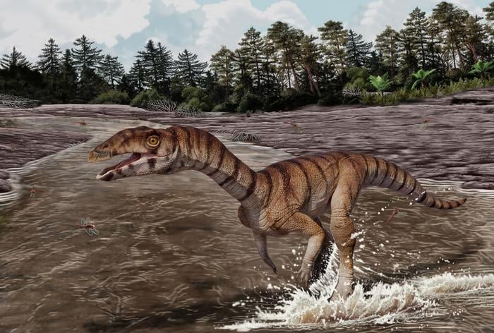 Novel Toothless, Two-Legged Crocodilian Kin Illuminates Triassic Era