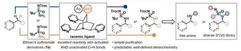 Transformative Catalyst Transforms Stable C-H Bonds into Amines