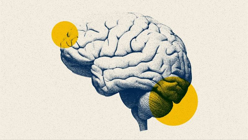 Weight Reduction Surgery Demonstrated to Be More Effective Than Well-Known Medication