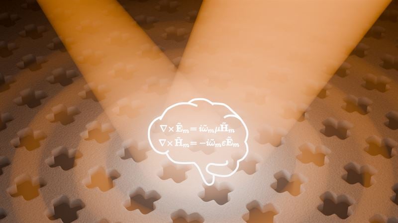 A Neural Network Initially Trained with Physical Principles Prior to Data Introduction