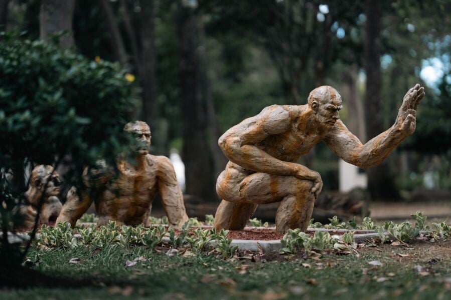 Ancestors Went Through a Swift Growth Surge Instead of a Slow Development Toward Contemporary Humans