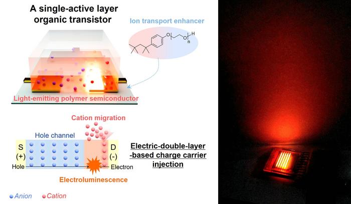 Korean Scientists Combine Processing, Memory, and Light Capabilities into a Unified Soft Transistor