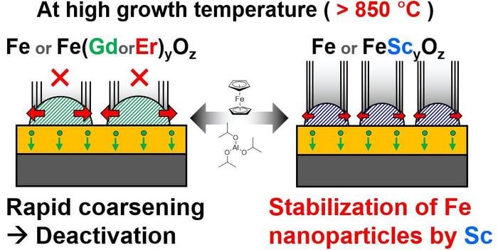 "Scandium Promotes Development of Carbon Nanotube Forests by Averting Burnout in Iron Catalysts"