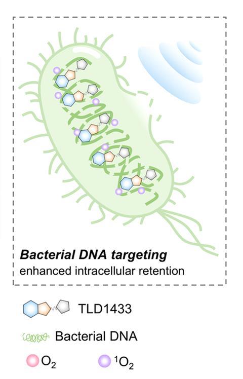 Sound-Triggered Antibacterial Capability Uncovered in Reused Anticancer Compound