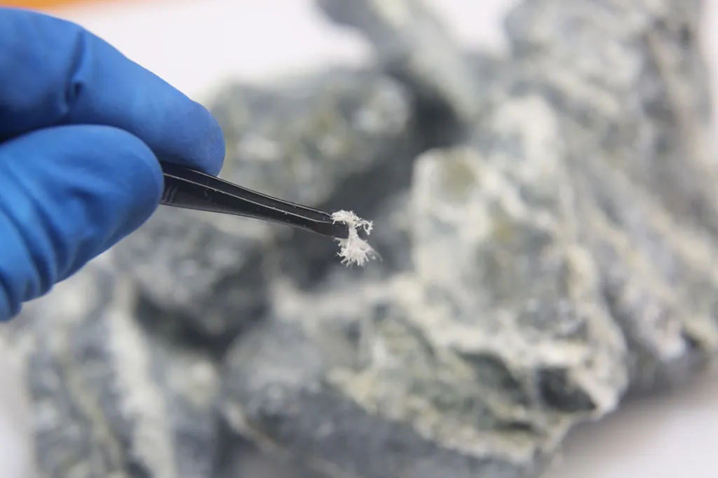 The Rising Deaths Among Americans Attributed to Asbestos Exposure
