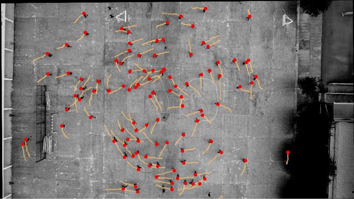 Unaccounted Counterclockwise Drift Noted in Gait Patterns of Most Individuals