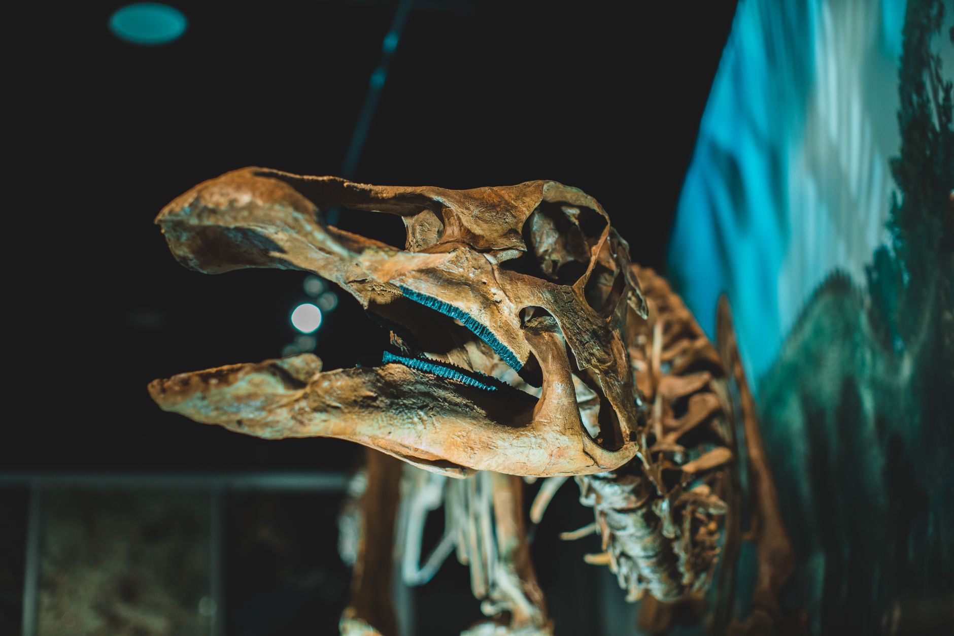 "125-Million-Year-Old Dinosaur Discovered in China Featuring Distinct Porcupine-Style Spikes and Intact Skin Cells"